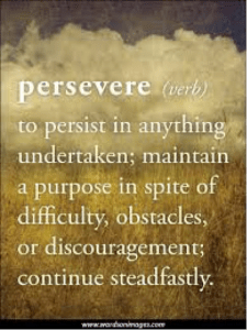PersevereVerb